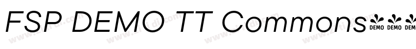 FSP DEMO TT Commons字体转换